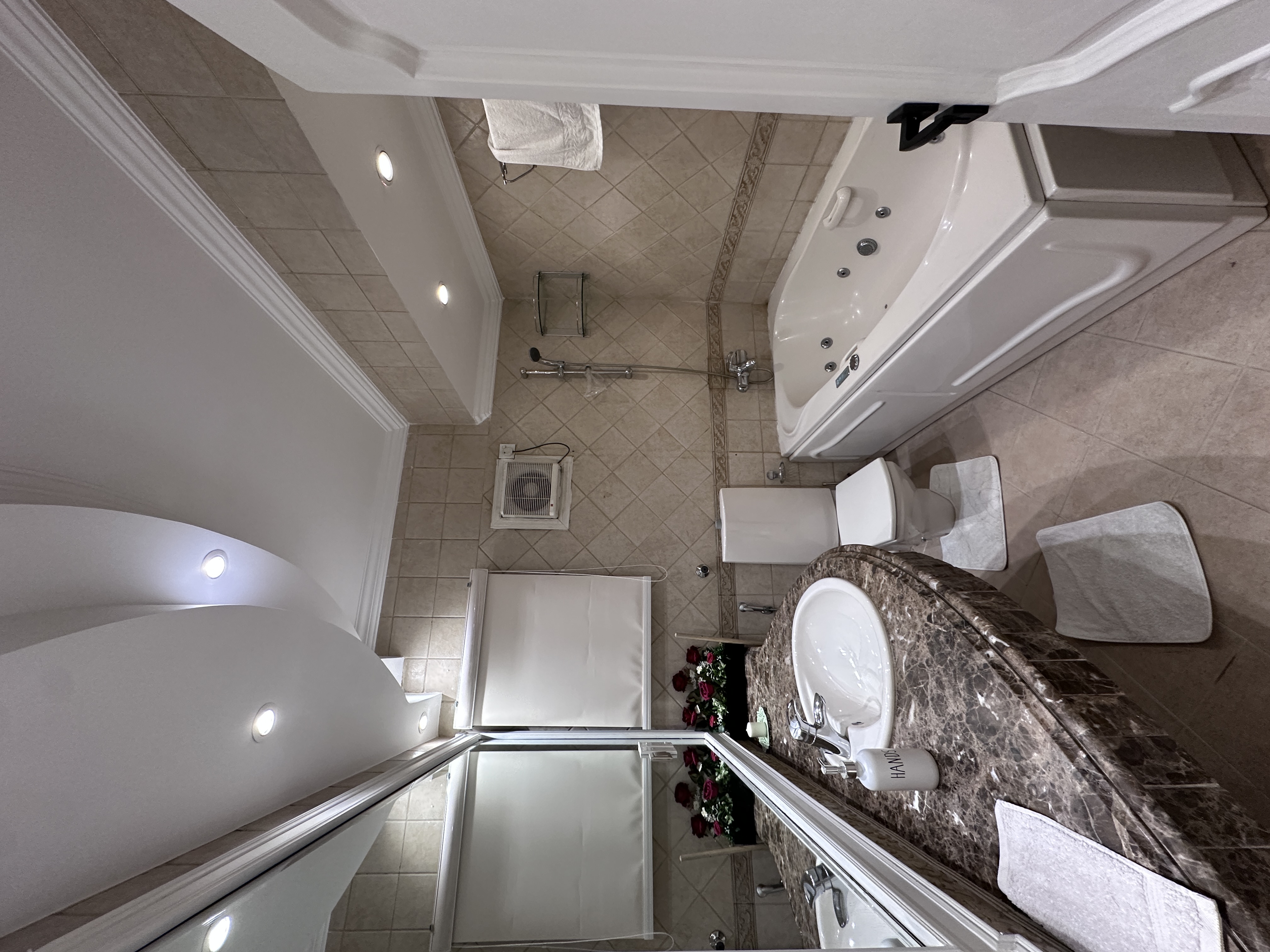 Apartment ( luxury ) 