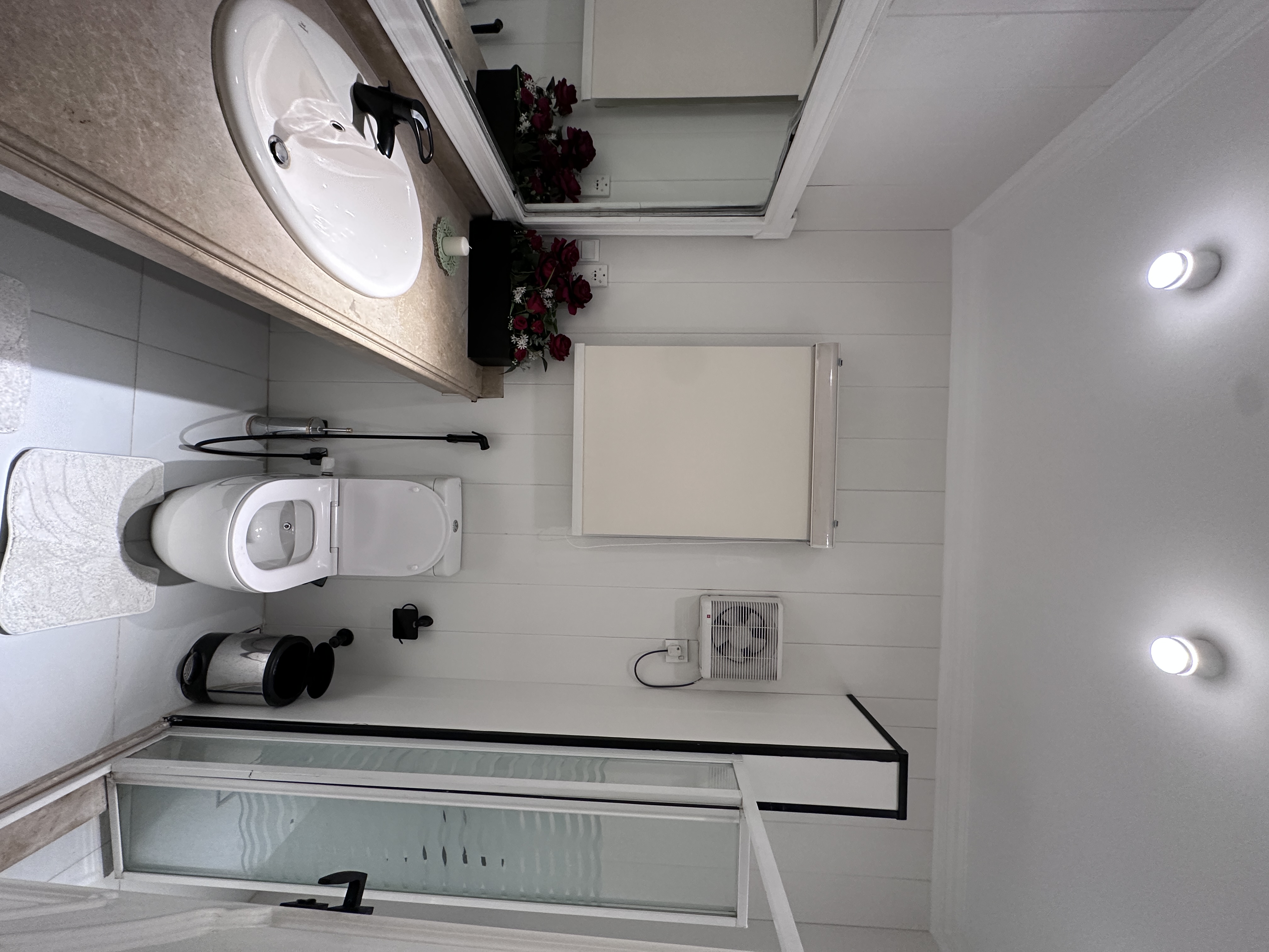 Apartment ( luxury ) 