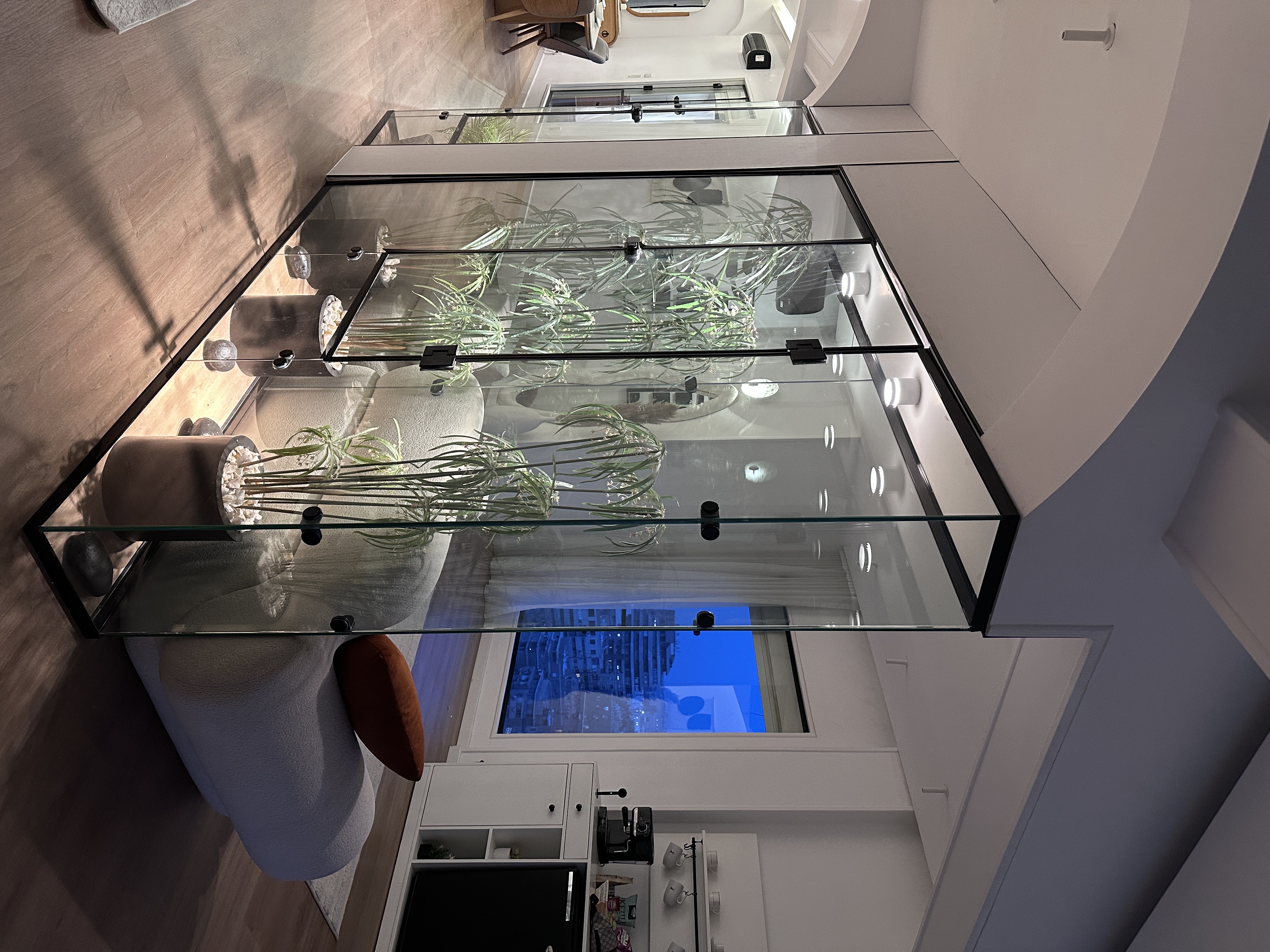 Apartment ( luxury ) 