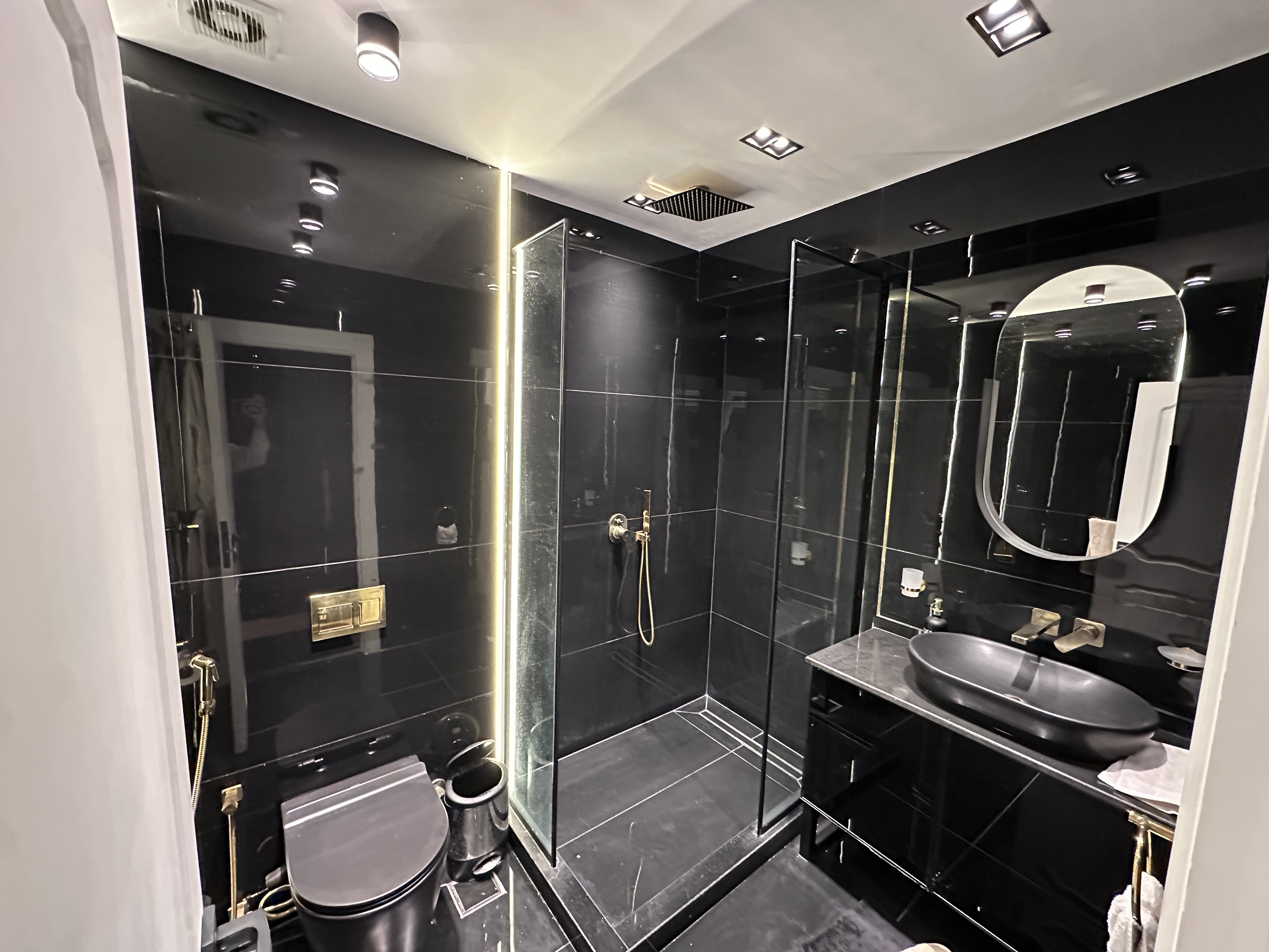 Apartment ( luxury ) 